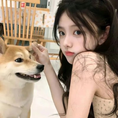 刘少奇的四十四天